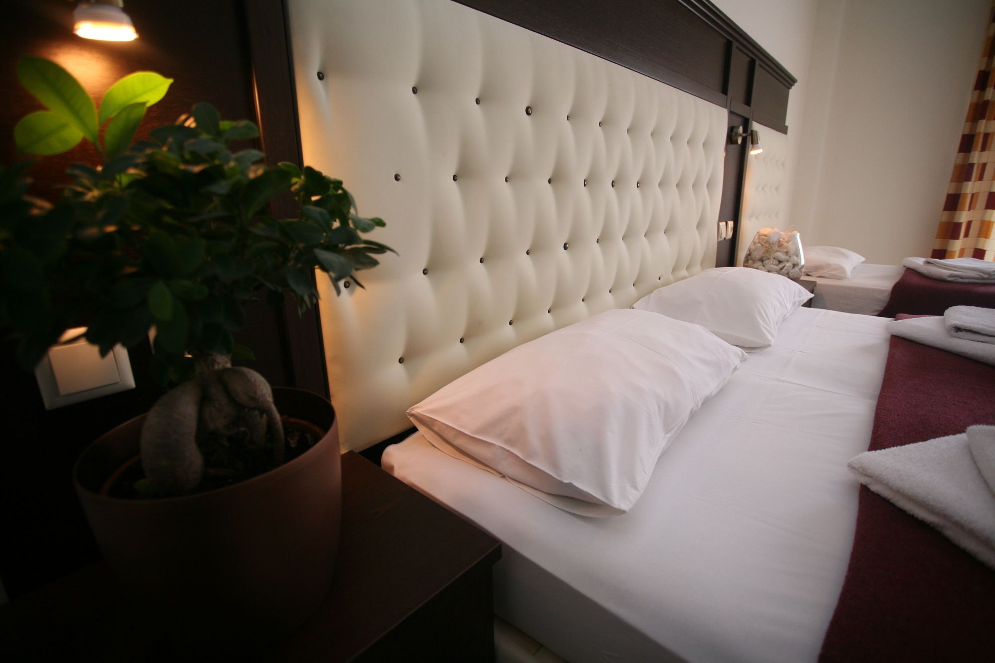 פפקוהורי Adonis Hotel מראה חיצוני תמונה