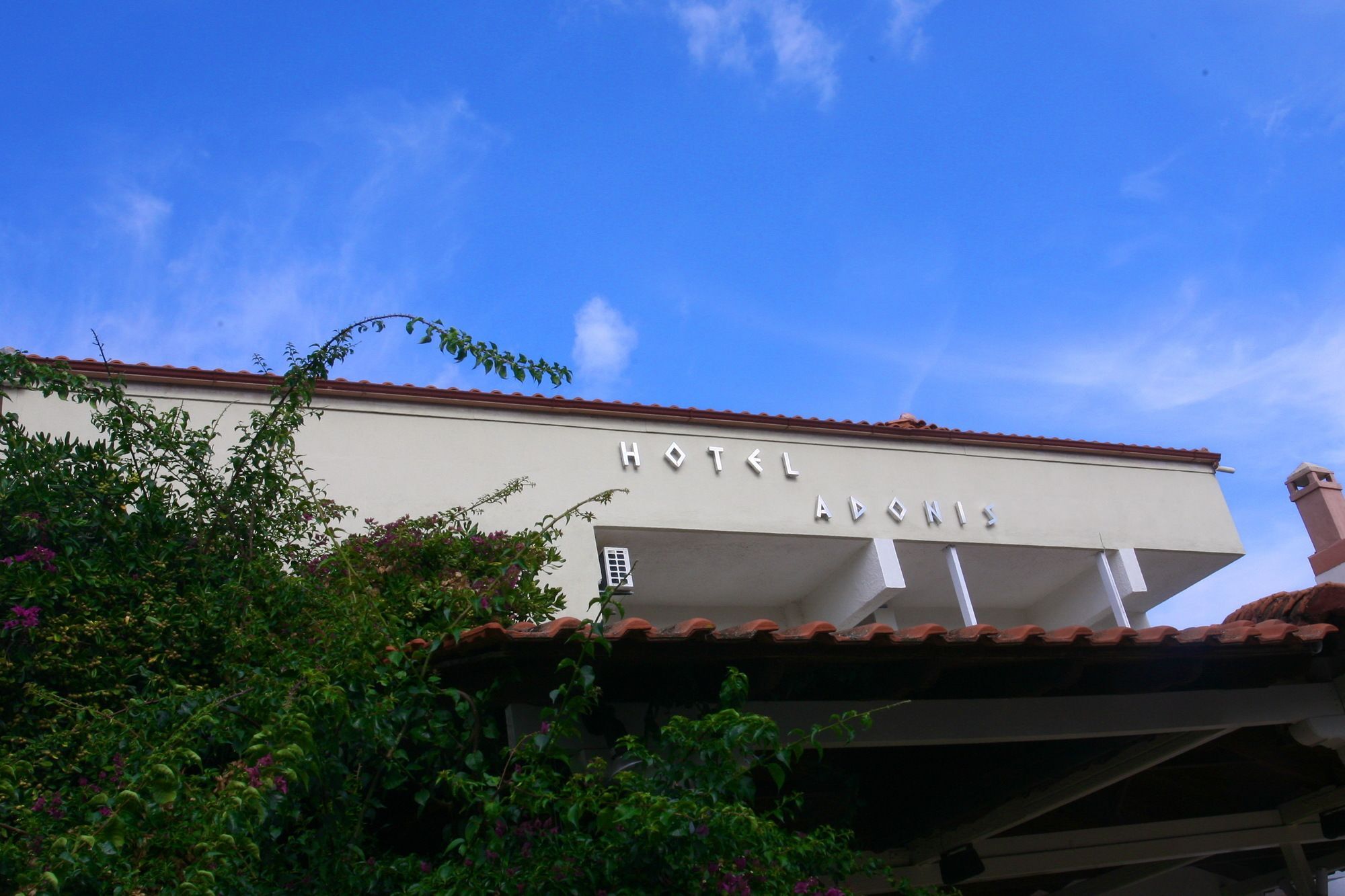 פפקוהורי Adonis Hotel מראה חיצוני תמונה